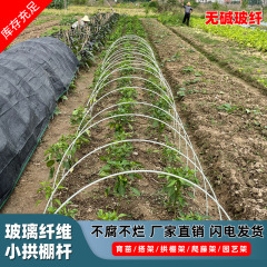 20本の中実ガラス繊維棒農業用瓜棚野菜保温日除けアーチメーカー卸売りアーチ棚スタンド