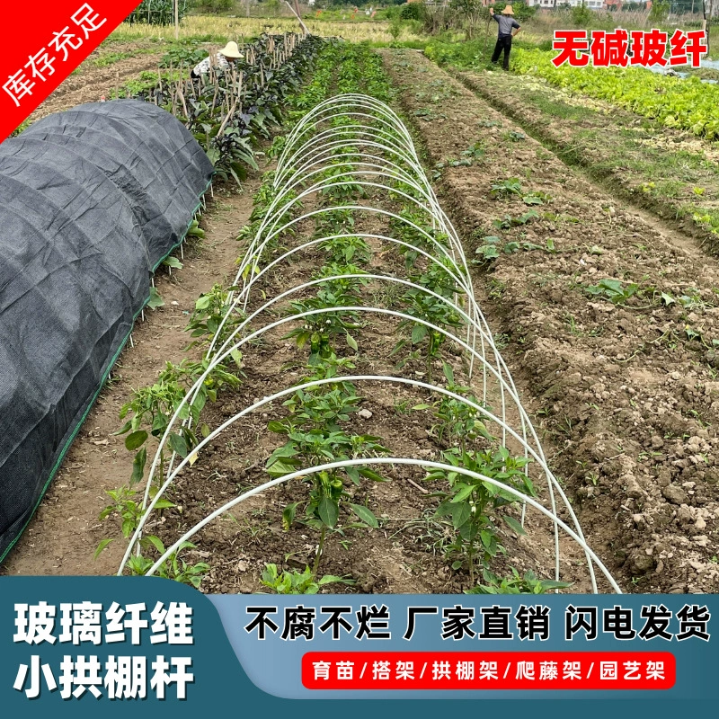 20 сплошных стекловолоконных стержней сельскохозяйственных сараев из дыни
