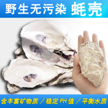 򺚤�V���~�،����\����ĵϠ����򺚤�~��ؐ����ˮ�^�V���Ϻ�Ϡ��