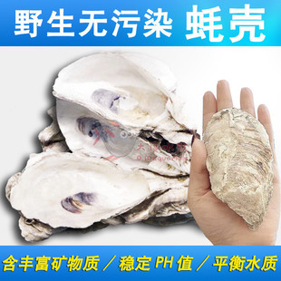 򺚤�V���~�،����\����ĵϠ����򺚤�~��ؐ����ˮ�^�V���Ϻ�Ϡ��