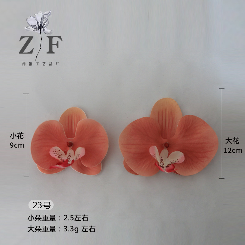 23호(대)