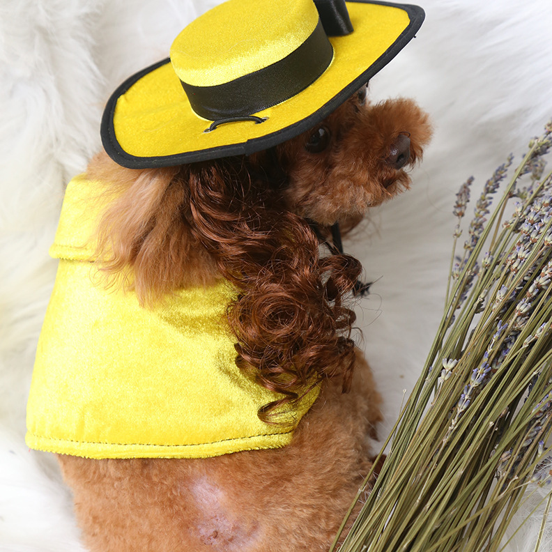 Costume di halloween per cani con mantello e cappello accessori_voghion.com