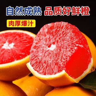 �F�����A�tѪ������Ȯ����t��Ě�ȼt�����r����ˮ�����]���l�S