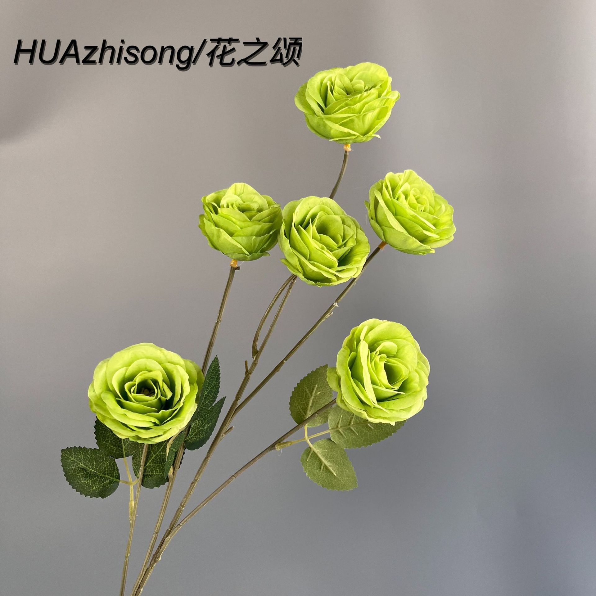 녹색