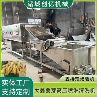 大姜清洗机定制 黄姜去泥清洗机包邮 高压喷淋鼓泡式翻滚洗姜机