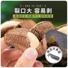 代发鲍鱼果新疆特产 沙漠果巴西坚果干果香脆鲍鱼果