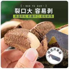 新疆特産砂漠果ブラジルナッツ乾燥果サクサクアワビ果