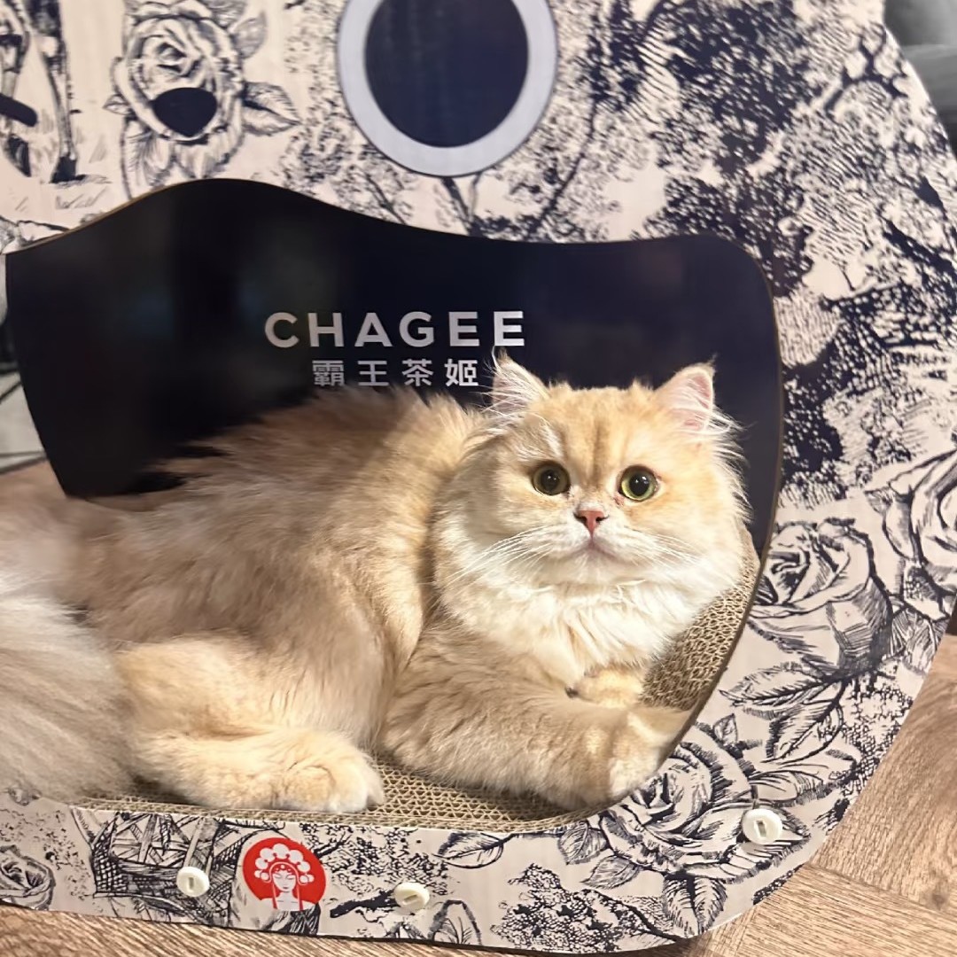 Когтеточка-гнездо KunMeow стандартная