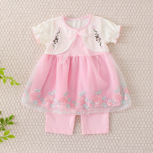 批发夏季儿童短袖裙子套装2025新款马甲网纱刺绣女孩公主裙两件套