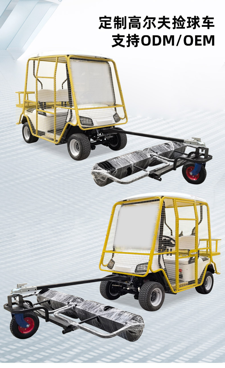 Electric Golf Ball Retriever Cart for Golf Courses, 2-Seater Golf Cart, Electric Golf Cart