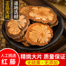 �t�� ��Ѫ�� ��ѪͨƬ �t��Ƭ ��ș����؛��Ʒ500�˰��] ��������