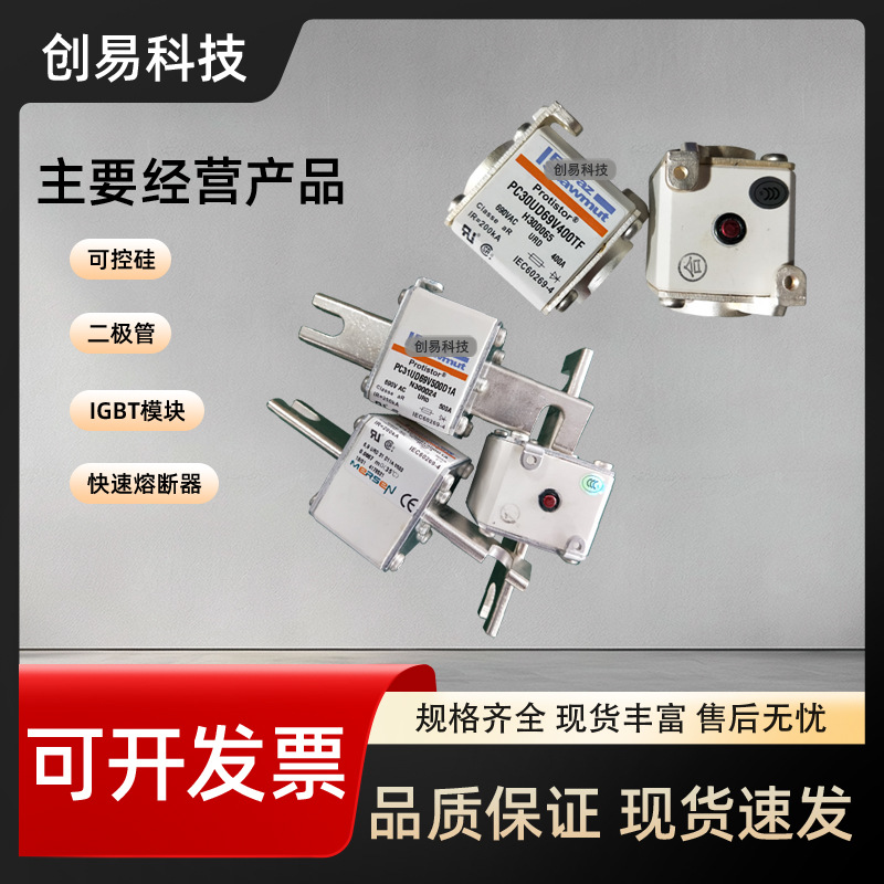 6,9GRB000D08L/063全新法国法雷罗兰熔断器