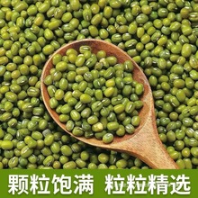 东北农家小绿豆新货500克可做绿豆糕绿豆汤发豆芽消暑易煮五谷杂