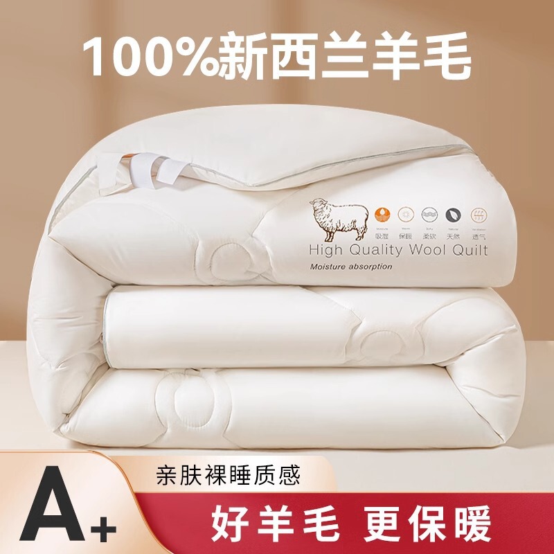 Class a New Zealand Wool Quilt 100 Pure Wool Velvet Quilt Winter Quilt Core Thickeneded Warm Autumn and Winter Bedding Single and Double