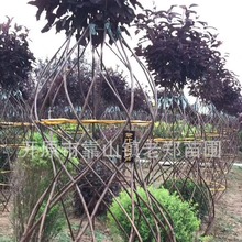 ُ�I���J���͘���͵��|�������������~��Ѻ��J���~���^�G���Ø�