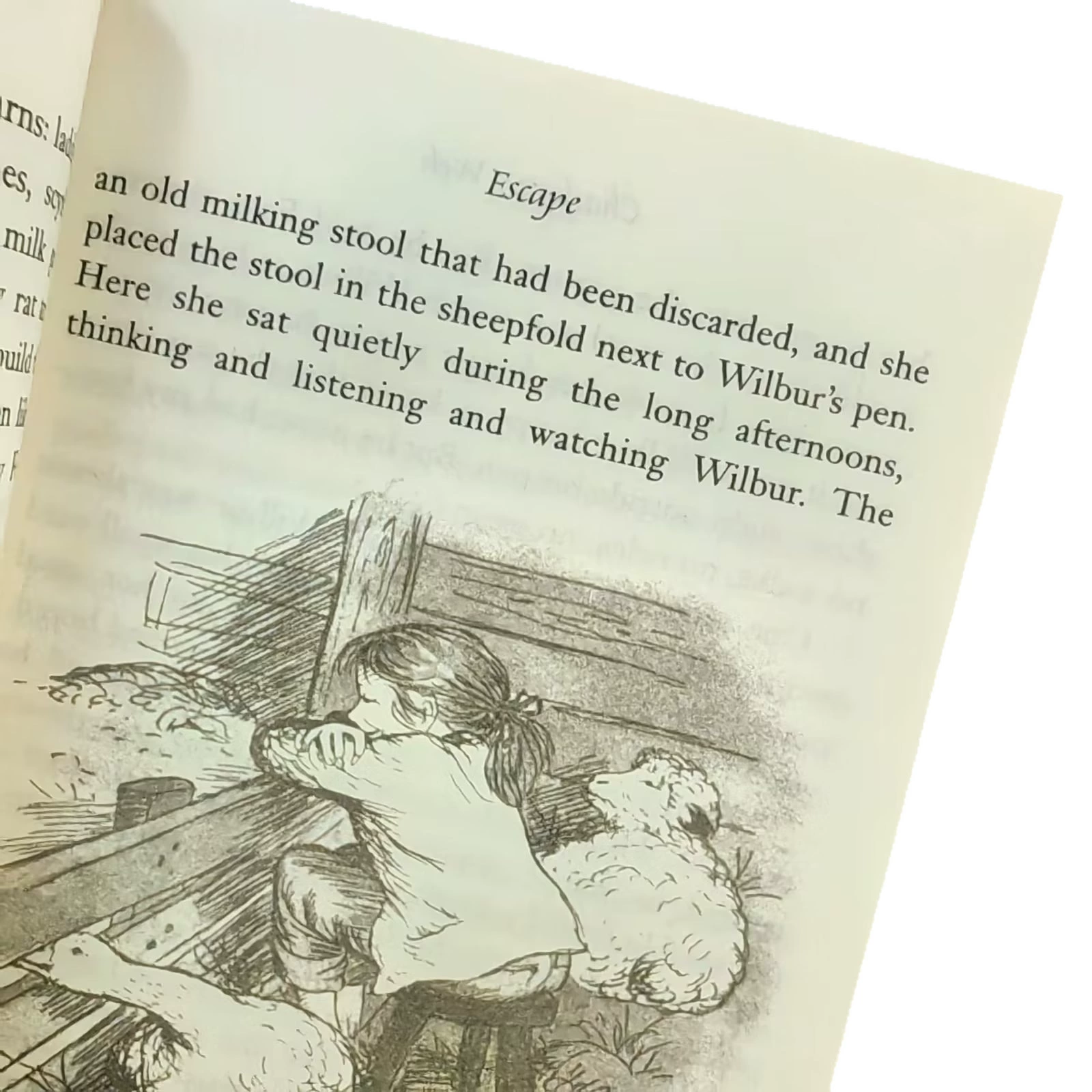 [Newberry] Charlotte's Web английская версия Charlotte