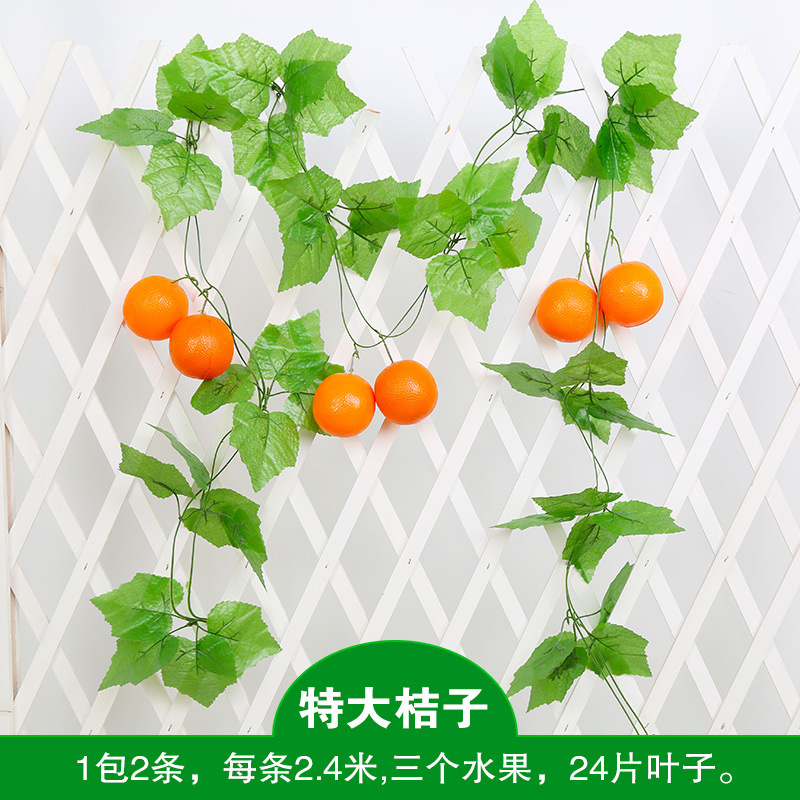 특대 오렌지(2팩)