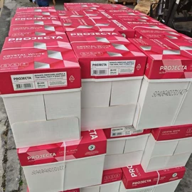 文化印刷用纸;其他包装用纸;牛皮纸