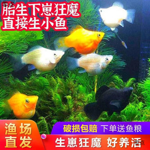 ��ȸ�~̥���~�������~ֱ����С�~���B�Ꭷ�~���̟Ꭷ���ֺ��B