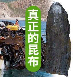 定制有机干海带板干货批发晒干500g袋装商用无沙无泥高品质