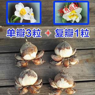 ���ΰ� + �Ͱ� ���b������ˮ�ɻ��N��ˮ��N���҃����Ի���ֲ��