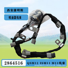 2864516����ģ�������������������ÿ���˹M11 ISM11 QSM11���ͻ�