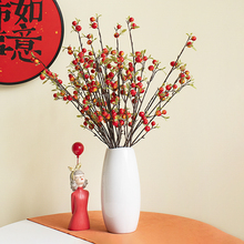 小苹果花家居客厅装饰摆件红果塑料假花干花果树枝餐桌面插花