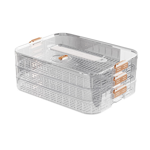 Dumpling box multi-layer thickened fresh-keeping storage box special dumpling freezing box household multi-layer food grade chaos box