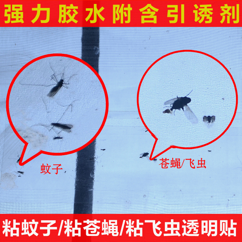 (집에서 파리와 모기를 잡는 데 추천) 창문 스티커 20개(할인 패키지)