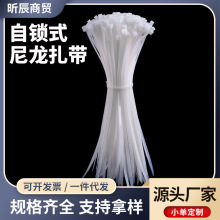 现货厂家自锁式尼龙扎带捆绑式扎带可调节的黑白色塑料束线带扎带