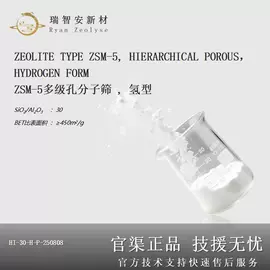 分子筛;催化剂用载体;铝氧化物