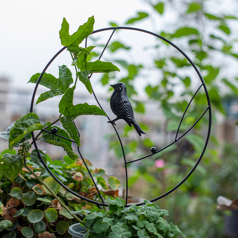 핫 스타일 업그레이드 검은 새 직경 30cm