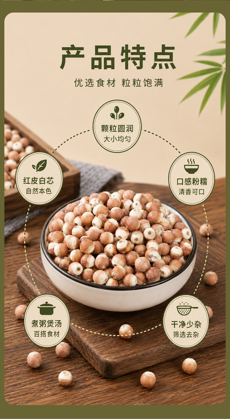 9mm Dried Gorgon Fruit Qian Shi Euryale Ferox Seeds 250g for Congee and Soup quality and texture