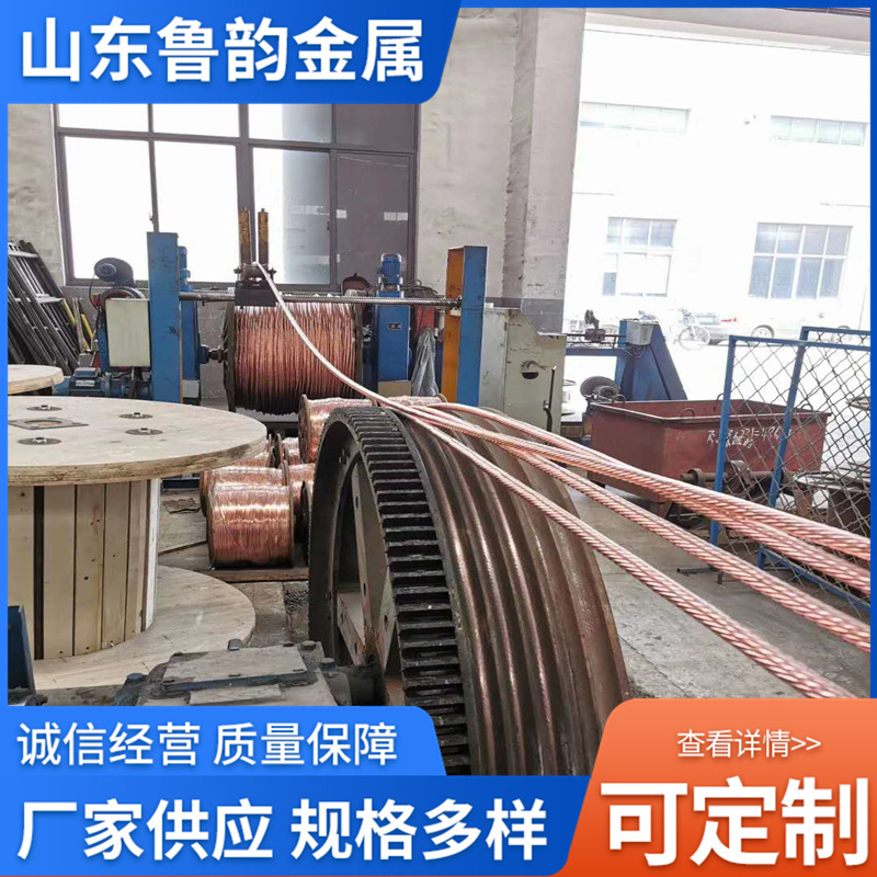 铜包钢绞线铜覆钢绞线镀铜绞线水平接地线圆线铜包钢防雷接地引线