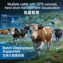 Waterproof 4G GPS Livestock Tracker for Herd Management