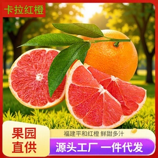 �A�ۿ����t�����r�Fժ����ƽ�ͮ����Ꭷˮ�����A�t���r���֭����