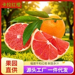 卡拉红橙新鲜现摘福建平和当季热带水果中华红橙鲜甜多汁橙子代发