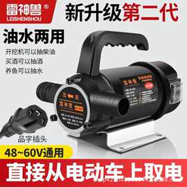 电动抽油泵小型12V24V48V220V电瓶车伏柴油泵加油机正反抽油神器