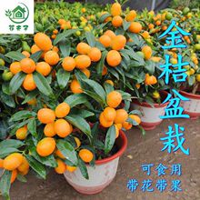 �ļ��۽������������Ԏ�����ʳ�ô�����ؔ���҃��̨��������