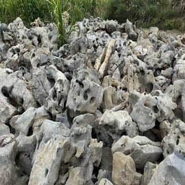 太湖石假山石天然原石庭院假山流水太湖石园林景观造景工程石E18
