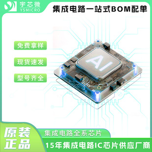 Electronic lithium battery with chip, watch, circuit, L05