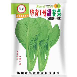 �����A��1̖�𴺲˷N�� ���_�A�~�͟����� �ļ��߲˷N��20���b