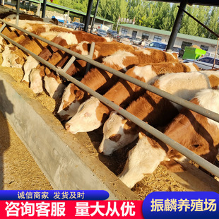 �Bֳ�����B��ţ�����T������ţ�� ��ľٝţ�� �����Sţ��