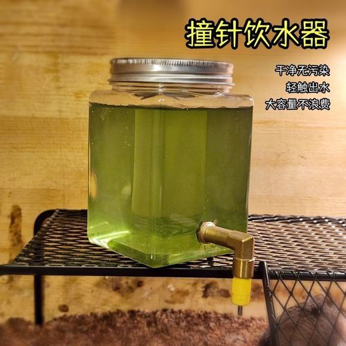 Rutin chicken feed box large capacity chicken striker kettle drinker bird quail splash automatic feeding and watering supplies