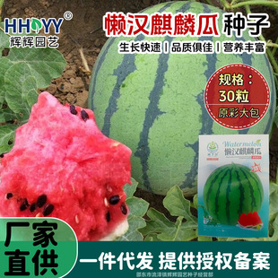 �Нh����ϷN�����ϷN�Ӵ����N�����쳬���������ϷN���߲˹Ϲ��N