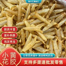 厂家批发海味干货90-100头小黄花胶鱼胶纯淡干滋补胶原煲汤鲜炖