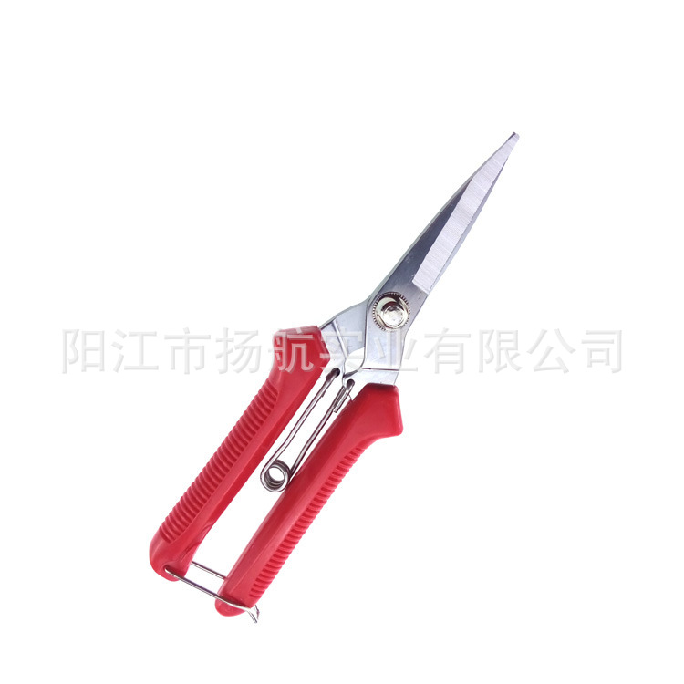 厂家供应树枝剪 花园剪刀 葡萄剪 园艺剪刀 修枝修花剪 采果剪刀