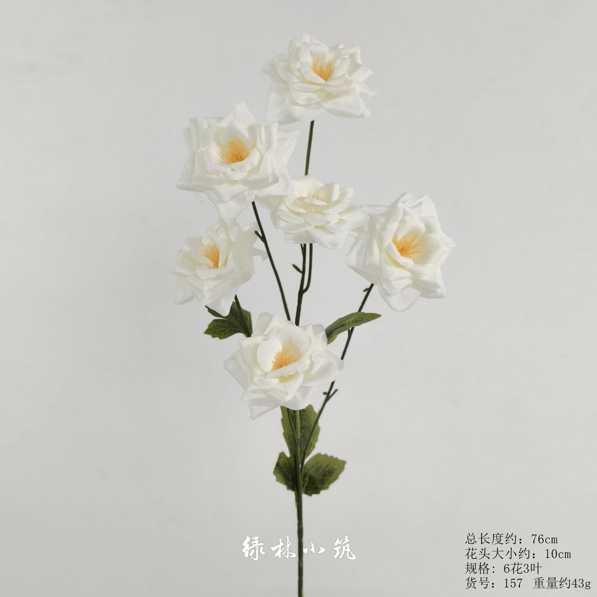 품목번호 157-리치 로즈