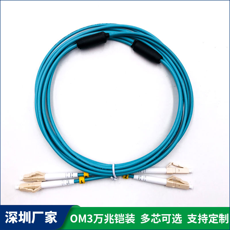 LC-LC万兆OM3双芯铠装光纤线室内光缆防鼠咬5G通讯光纤尾纤3米5米