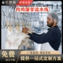 定制自动屠宰家禽生产线